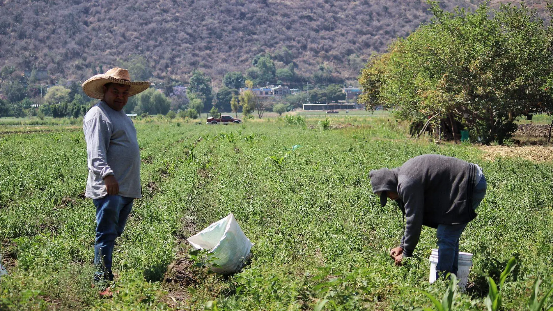 EMPLEADOS AGRICOLAS_FMM (4)